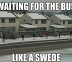 Waiting for the bus like a swede